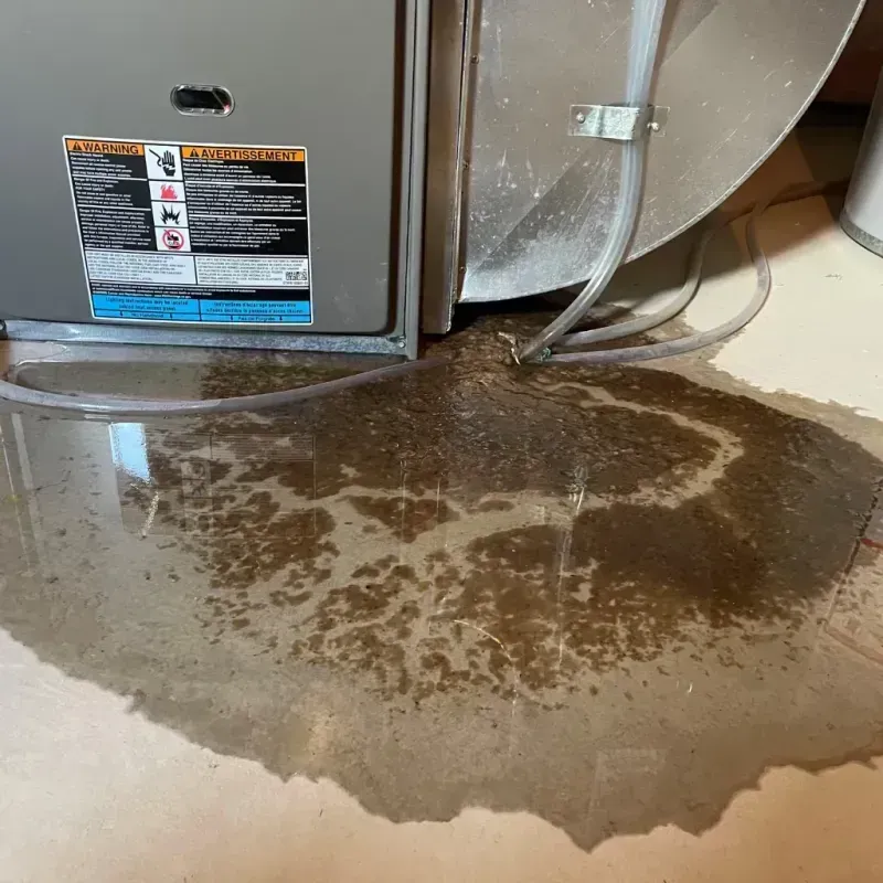 Appliance Leak Cleanup in North Hills, NY